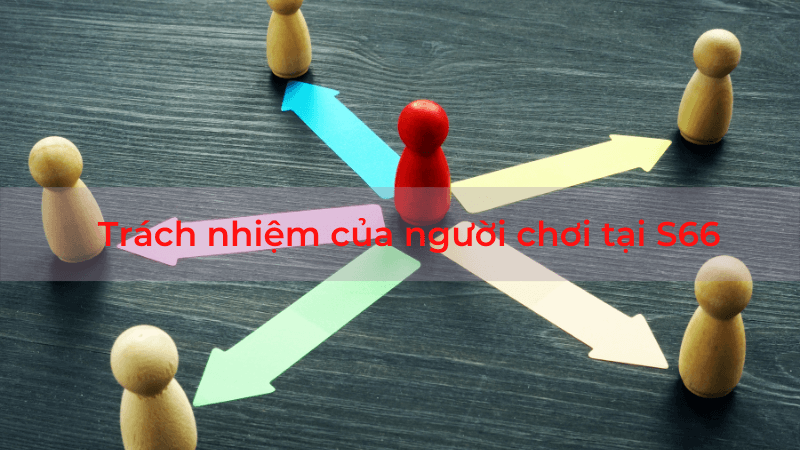 Quy định miễn trừ trách nhiệm của nhà cái S66